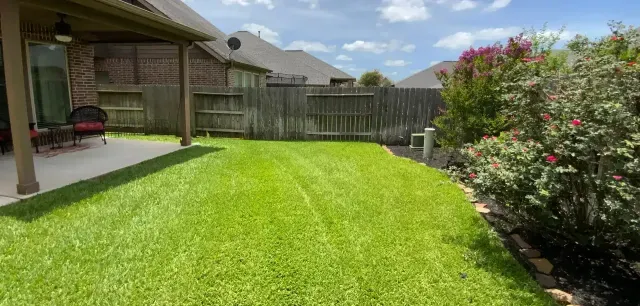 Smart Ways to Streamline Your Backyard Maintenance